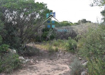 Foto 54 - Terreno agricolo Trentino
 
36-54, Aglientu - foto 54