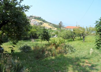 Foto 6 - Casa indipendente Contrada Fonte Ottone, Colonnella - foto 6
