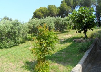 Foto 7 - Casa indipendente Contrada Fonte Ottone, Colonnella - foto 7