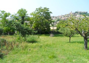 Foto 8 - Casa indipendente Contrada Fonte Ottone, Colonnella - foto 8