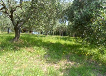 Foto 10 - Casa indipendente Contrada Fonte Ottone, Colonnella - foto 10