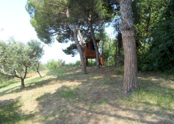 Foto 14 - Casa indipendente Contrada Fonte Ottone, Colonnella - foto 14