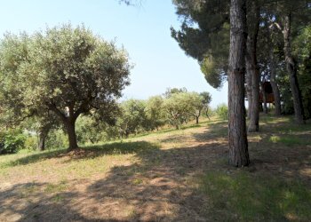 Foto 16 - Casa indipendente Contrada Fonte Ottone, Colonnella - foto 16