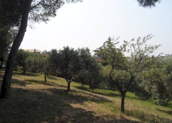 Foto 17 - Casa indipendente Contrada Fonte Ottone, Colonnella - foto 17