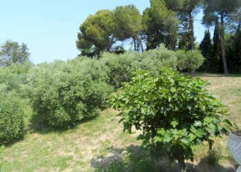 Foto 34 - Casa indipendente Contrada Fonte Ottone, Colonnella - foto 34