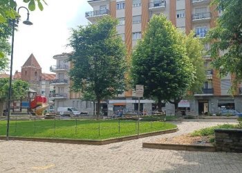 Vista - Negozio Alpignano - foto 6