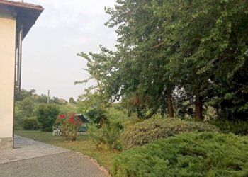 Terreno - Rustic Calamandrana - photo 6