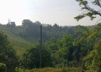 Vista - Rustic Calamandrana - photo 7