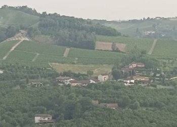 Vista - Rustic Calamandrana - photo 8