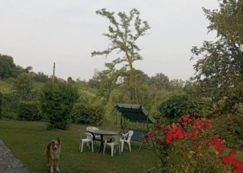 Giardino - Rustic Calamandrana - photo 9