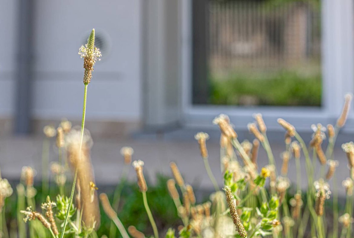 Appartamento Cento - foto 2