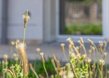 Appartamento Cento - foto 2