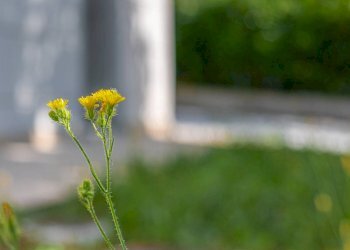 Appartamento Cento - foto 14