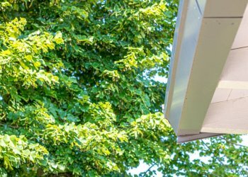 Appartamento Cento - foto 3