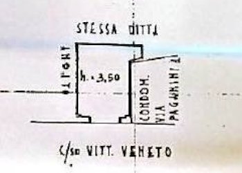 Negozio Savona - foto 7
