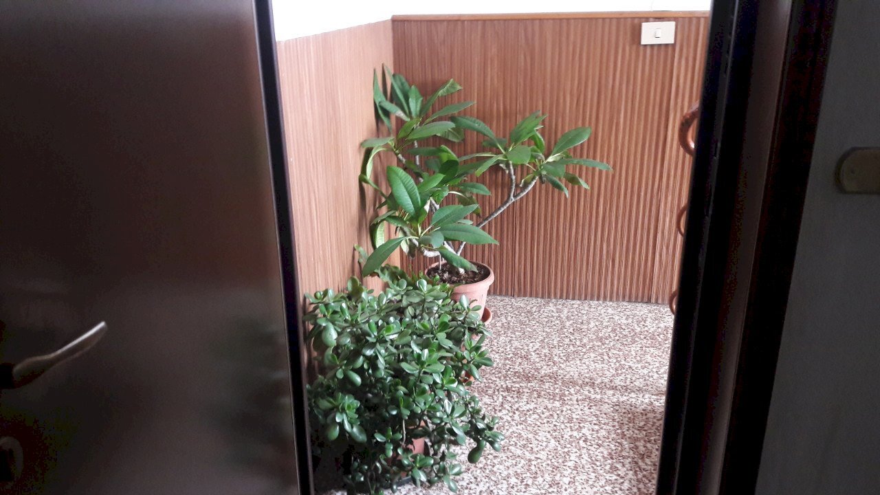 Apartment Alseno - photo 2