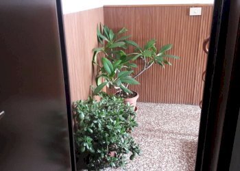 Appartamento Alseno - foto 2