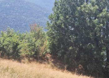 Terreno edificabile Località Cly, 15, Saint-Denis - foto 14