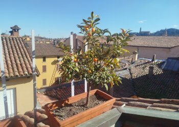 Bilocale VIA D'AZEGLIO, 76, Bologna (zona Centro Storico) - foto 17