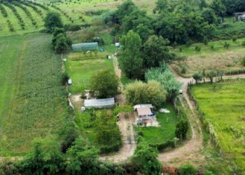 Agricultural land Andezeno - photo 3