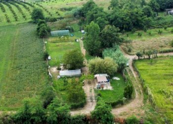Agricultural land Andezeno - photo 4