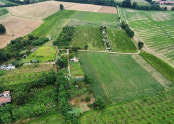 Agricultural land Andezeno - photo 5