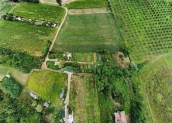 Agricultural land Andezeno - photo 9
