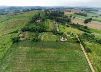 Agricultural land Andezeno - photo 10