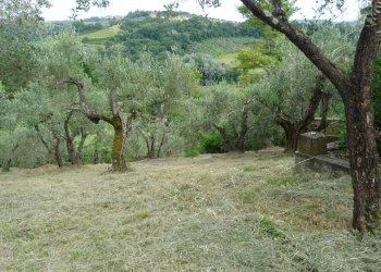 Foto 16 - Rustico Montespertoli - foto 16