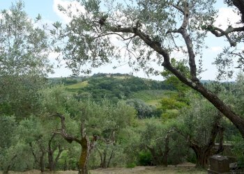 Foto 18 - Rustico Montespertoli - foto 18