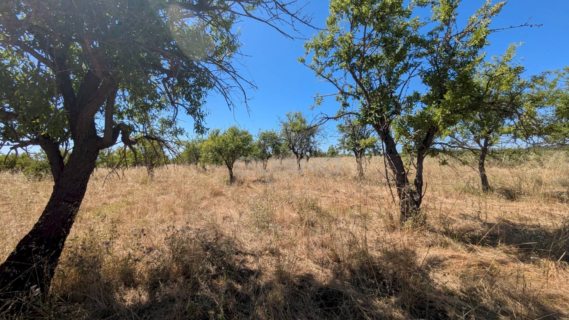 Foto 3 - Agricultural land contrada risicone, Avola - photo 3