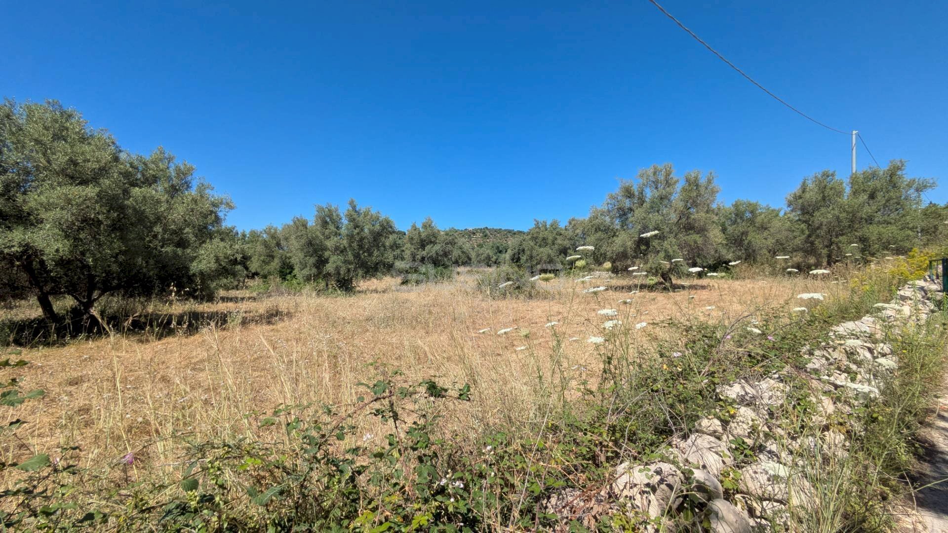 Foto 1 - Agricultural land contrada risicone, Avola - photo 1