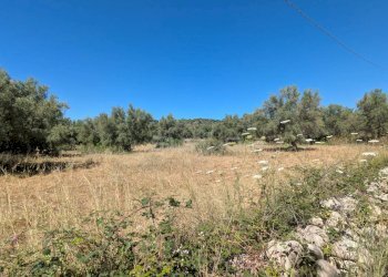 Foto 1 - Terreno agricolo contrada risicone, Avola - foto 1