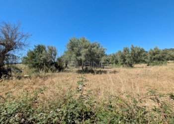 Foto 4 - Terreno agricolo contrada risicone, Avola - foto 4