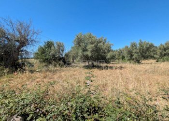 Foto 5 - Terreno agricolo contrada risicone, Avola - foto 5