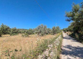 Foto 6 - Terreno agricolo contrada risicone, Avola - foto 6