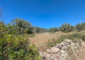 Foto 7 - Terreno agricolo contrada risicone, Avola - foto 7