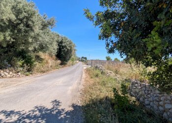 Foto 9 - Terreno agricolo contrada risicone, Avola - foto 9