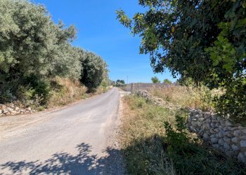 Foto 10 - Terreno agricolo contrada risicone, Avola - foto 10