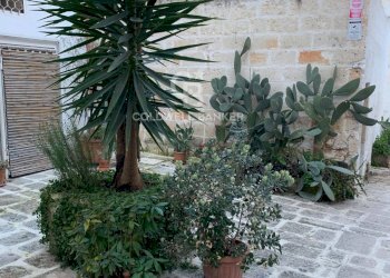 Foto 13 - Bilocale Via Santoro
 
8/14, Ostuni - foto 13