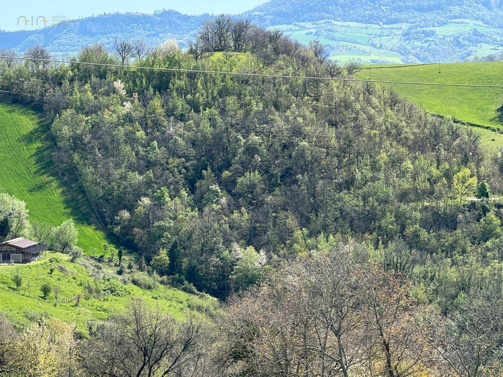 Foto 1 - Terreno agricolo Amandola - foto 1