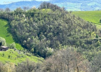 Foto 1 - Terreno agricolo Amandola - foto 1