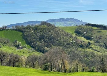 Foto 2 - Terreno agricolo Amandola - foto 2