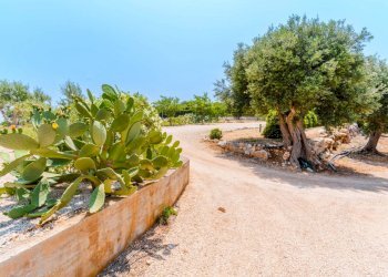 Foto 47 - Villa Strada Comunale Pozzo Cavalieri
 
Snc, Polignano a Mare - foto 47