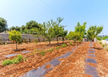 Foto 52 - Villa Strada Comunale Pozzo Cavalieri
 
Snc, Polignano a Mare - foto 52