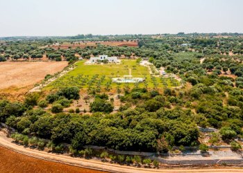 Foto 59 - Villa Strada Comunale Pozzo Cavalieri
 
Snc, Polignano a Mare - foto 59