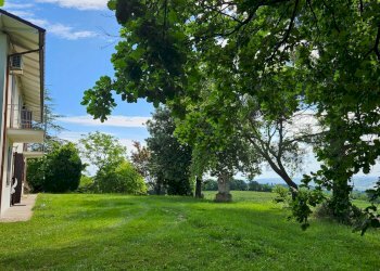 Foto 4 - Villa Serrungarina, Colli al Metauro - foto 4