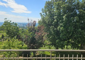 Foto 29 - Villa Serrungarina, Colli al Metauro - foto 29