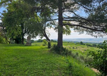 Foto 51 - Villa Serrungarina, Colli al Metauro - foto 51