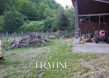 Foto 46 - Independent house Strada Casebianche
 
91, Roccafluvione - photo 46